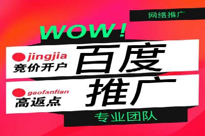百度推广成本优化：成功案例分享